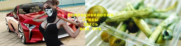 Альфа ПВП Аркадак