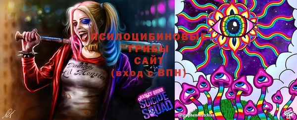 ПСИЛОЦИБИНОВЫЕ ГРИБЫ Арсеньев