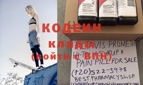 ПСИЛОЦИБИНОВЫЕ ГРИБЫ Арсеньев