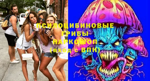 ПСИЛОЦИБИНОВЫЕ ГРИБЫ Арсеньев